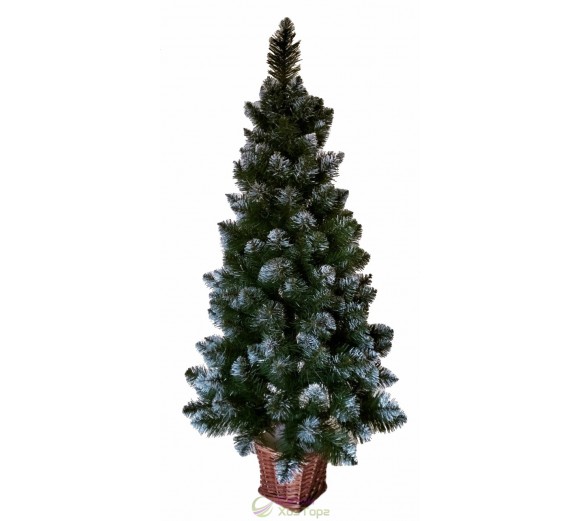 Ель Европейская с инеем 1,1 м в горшочке из лозы